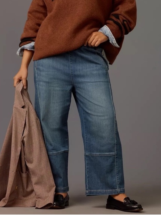 Anthropologie Pants - Anthropologie Pilcro The Izzie Relaxed Pull-On Barrel Jeans in blue size XL